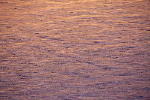 snow covered sea ice  outdoors